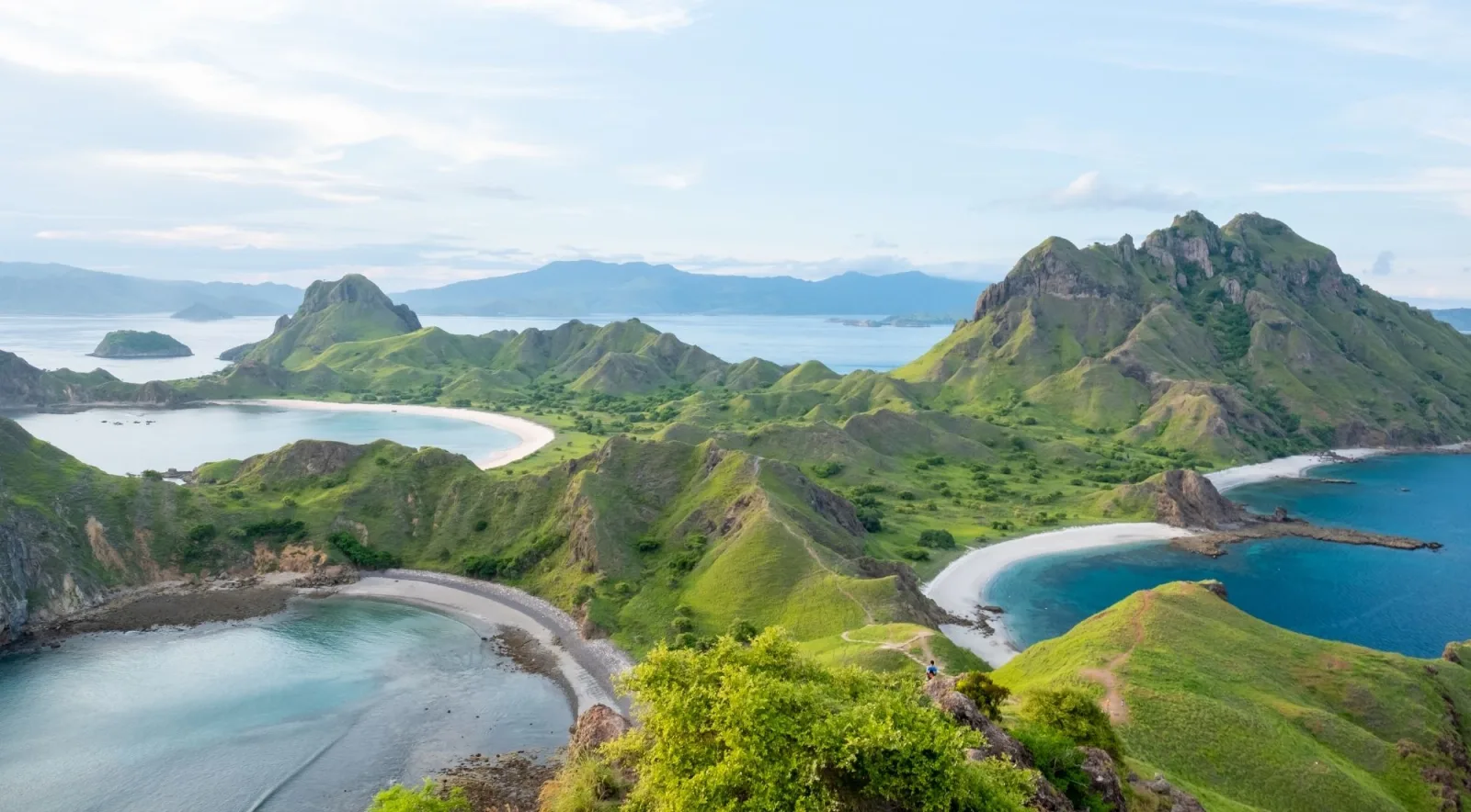 Padar Island's three curved bays seen from the ridge viewpoint, green hills above white sand and turquoise water