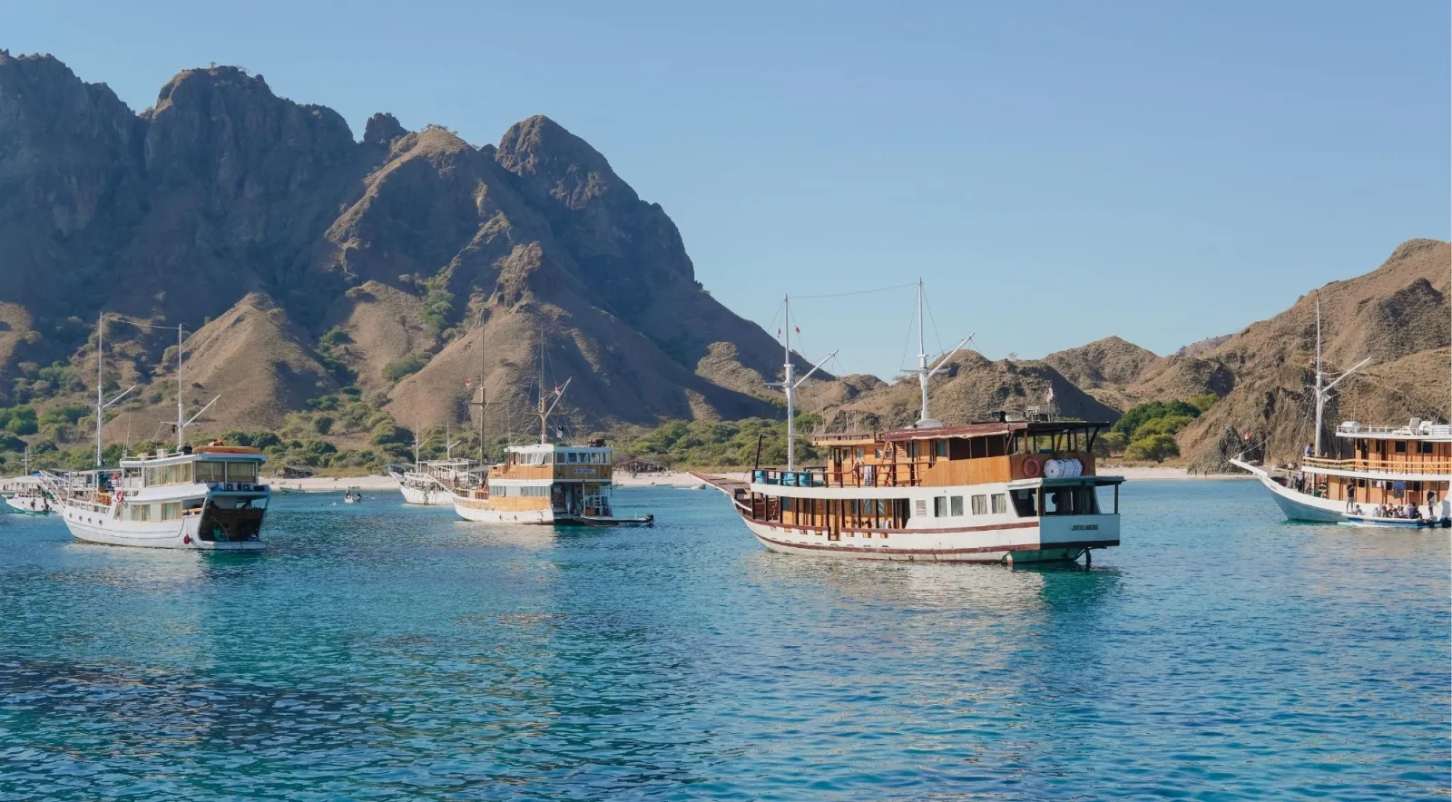 Wooden Phinisi liveaboards moored below the dry hills of Komodo National Park in flat morning water