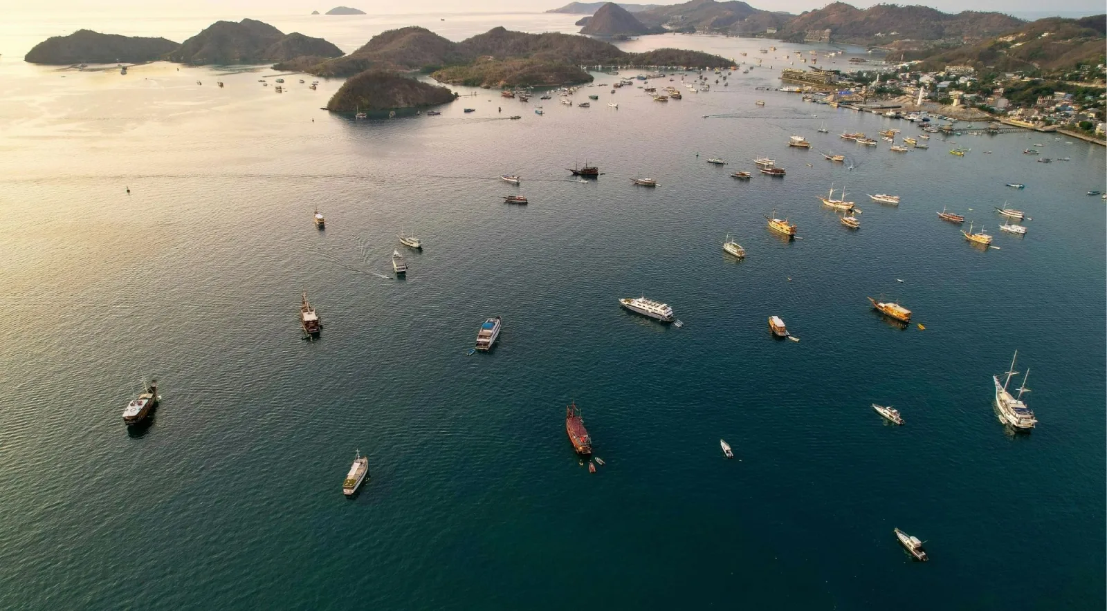 Golden-hour aerial of dozens of boats anchored across a wide bay off the Flores coast