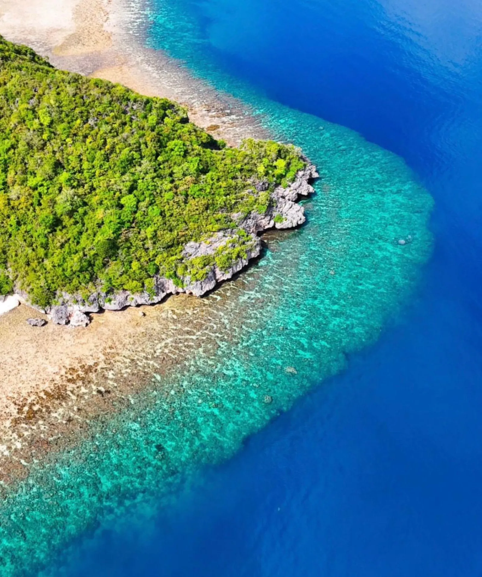 Aerial view of the reef edge and clear shallows near Labuan Bajo