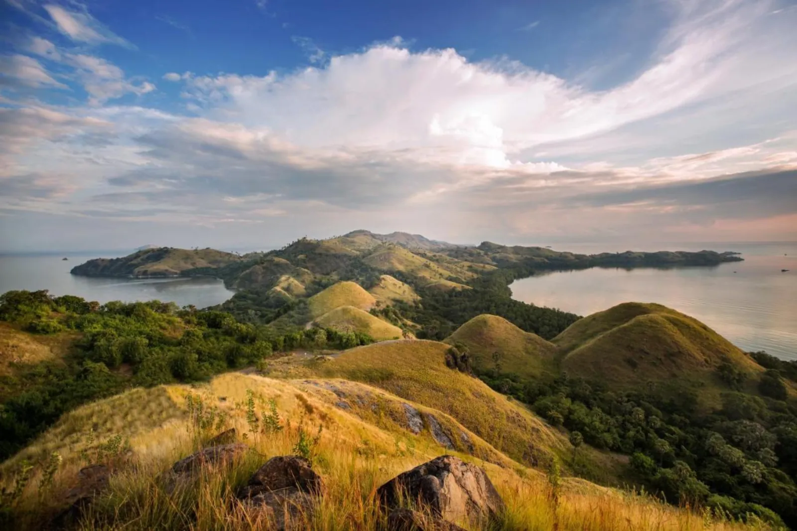 The hills above the bay in late afternoon light