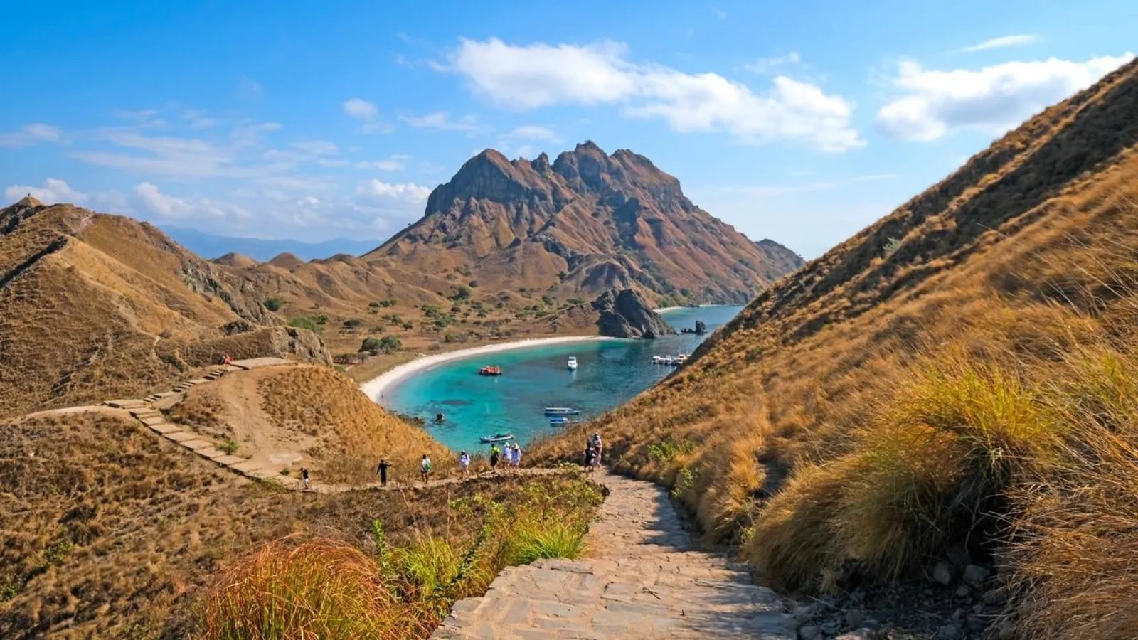 The stepped trail up Padar Island with the three bays below