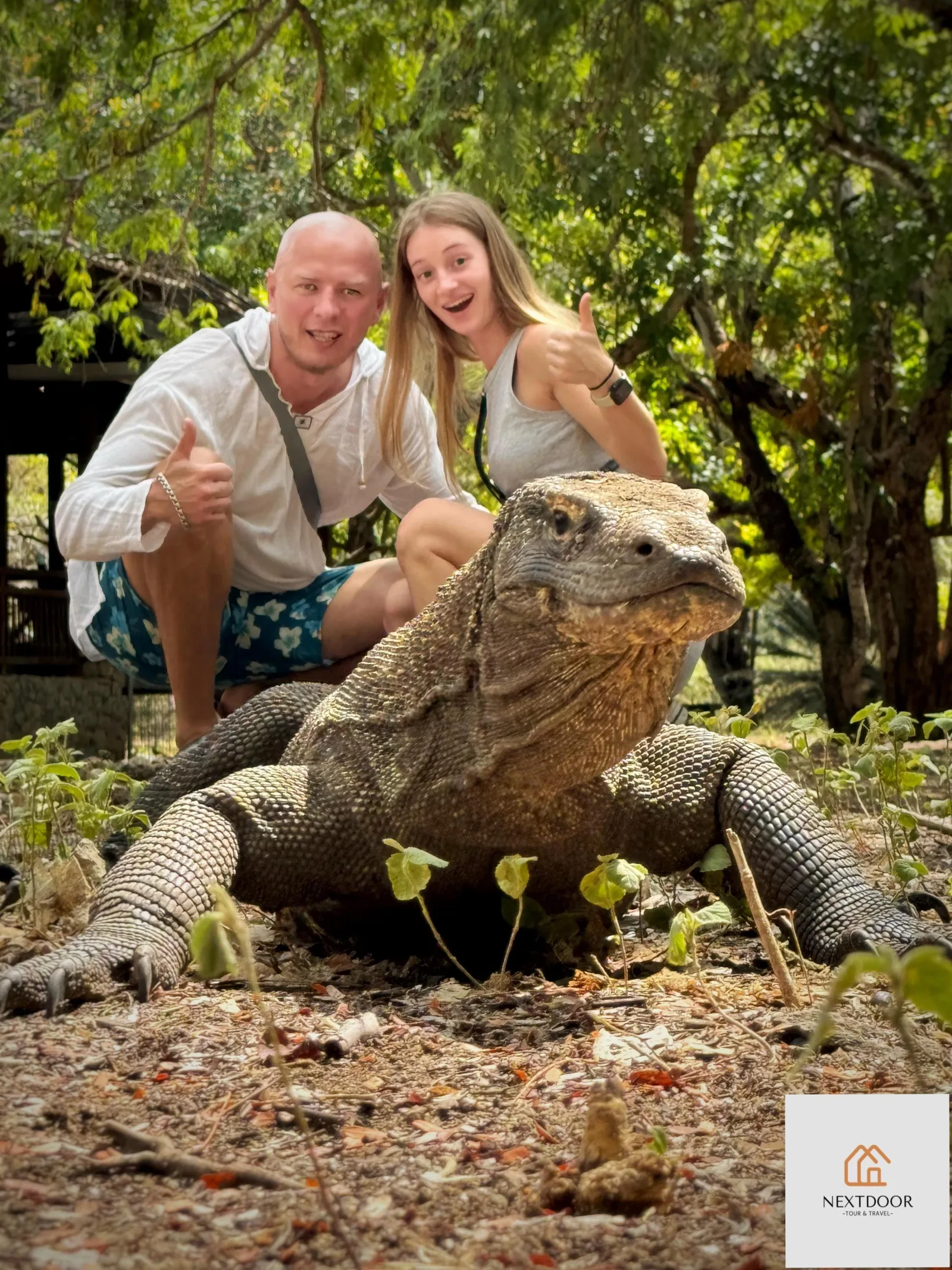 Labuan Bajo: 2D1N Komodo & Pink Beach Shared Boat Tour