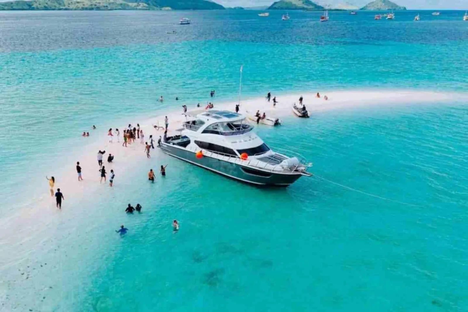 Visitors wading and swimming at a sandbar with the tour boat alongside