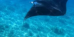 Guest photo from review